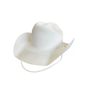 CHAPEU PLAST BRANCO COWBOY