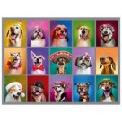 Q, CAB 500 PCS CAES ESTILOSOS