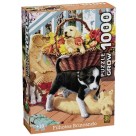 Q. CAB 1000 PCS FILHOTES BRINCANDO