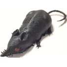 RATO DE BORRACHA PIMPUM