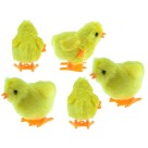 PINTINHO A CORDA OPEN