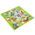 CUIDANDO DO MEIO AMBIENTE CARLU