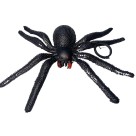 ARANHA CARANGUEJEIRA