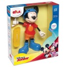 MICKEY RADICAL ELKA
