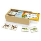 MEMORIA DINOS MADEIRA JUNGES